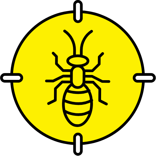 Ants