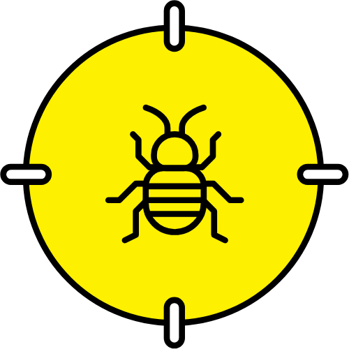 Bedbugs