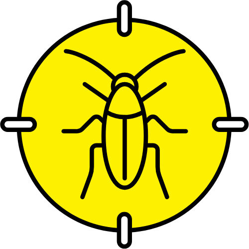 Roaches