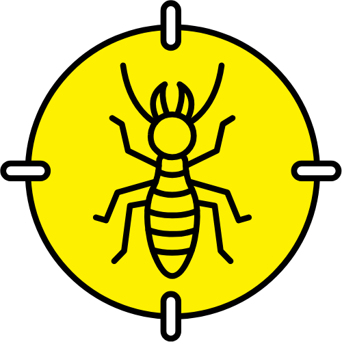 Termites