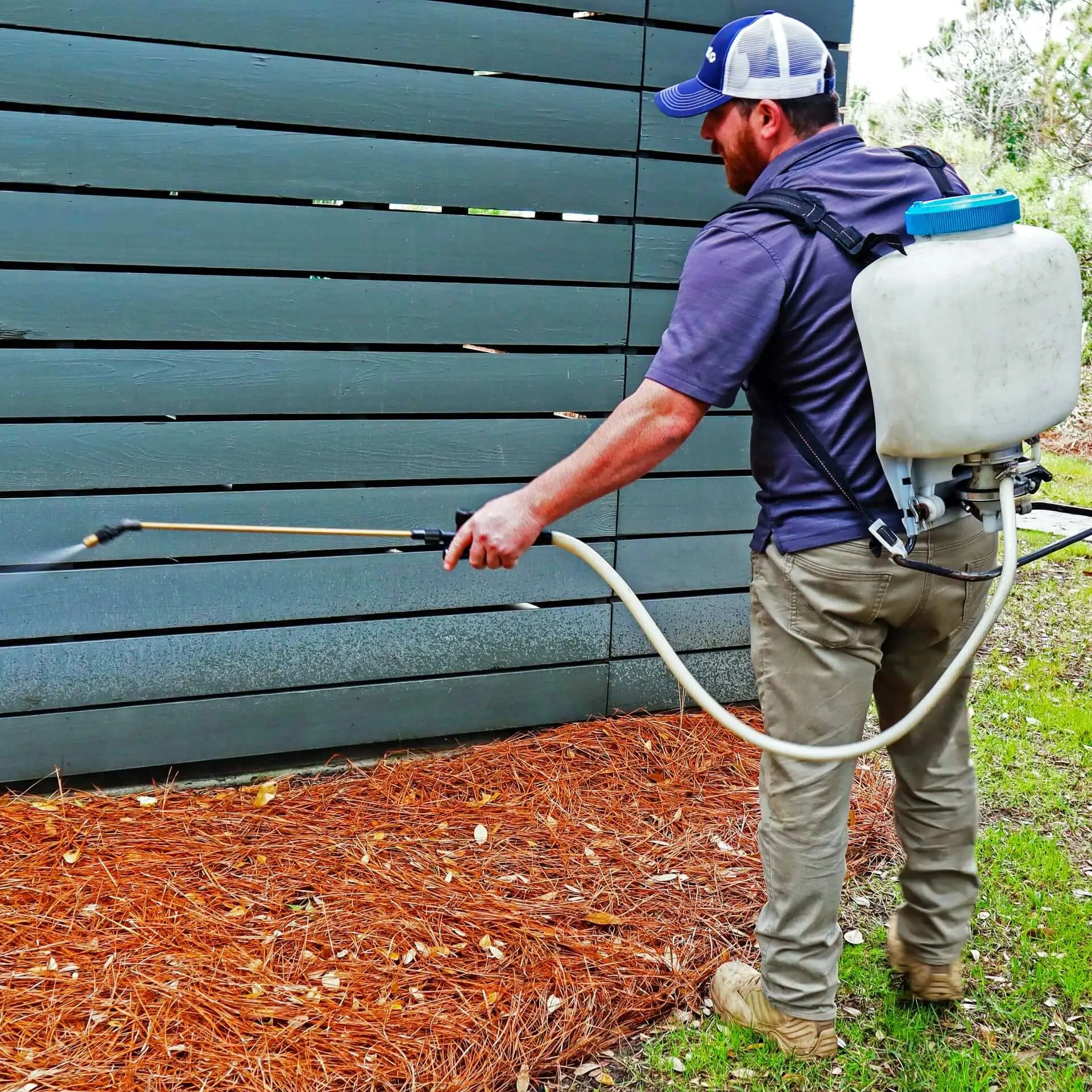 CPC - Featured Image - Ant Pest Control Landing Page