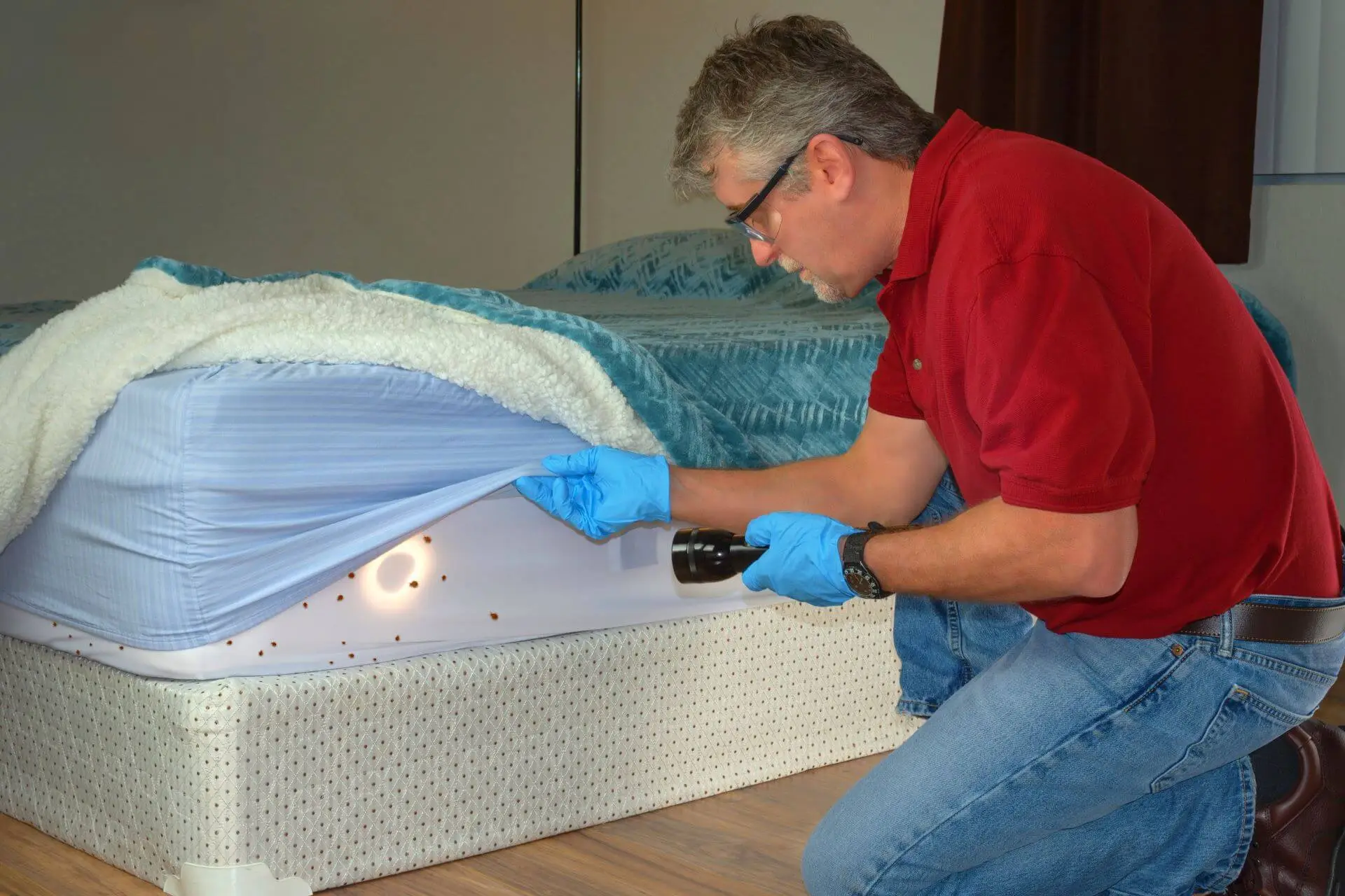 CPC - Bed Bugs - Hero Image
